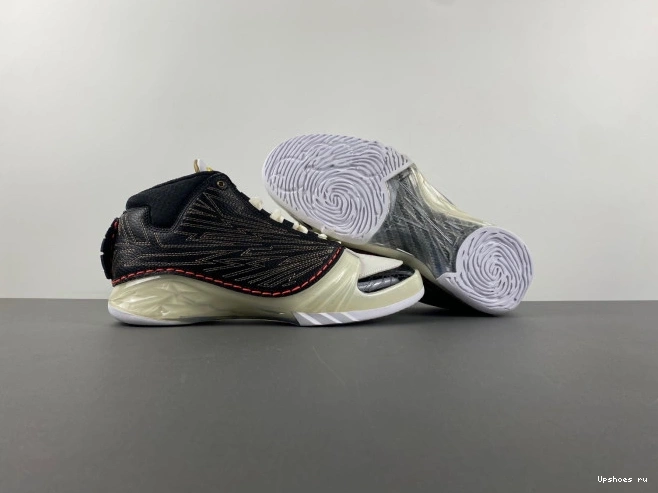 CZ6222-001  23 Jordan  TITAN 0223